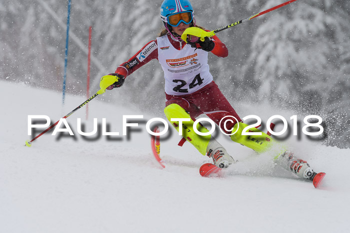 DSV Dt. Schülercup U14 SL 20.01.2018