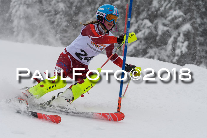 DSV Dt. Schülercup U14 SL 20.01.2018