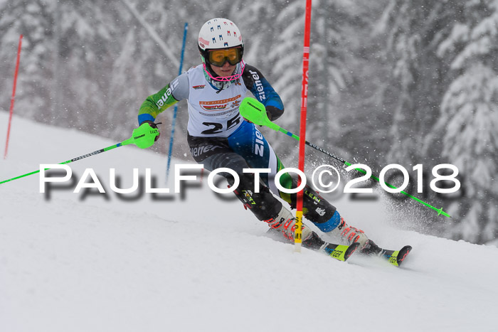 DSV Dt. Schülercup U14 SL 20.01.2018