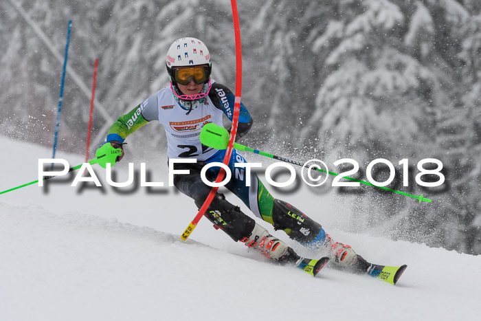 DSV Dt. Schülercup U14 SL 20.01.2018