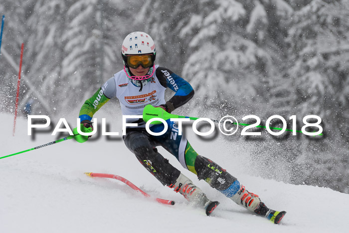 DSV Dt. Schülercup U14 SL 20.01.2018