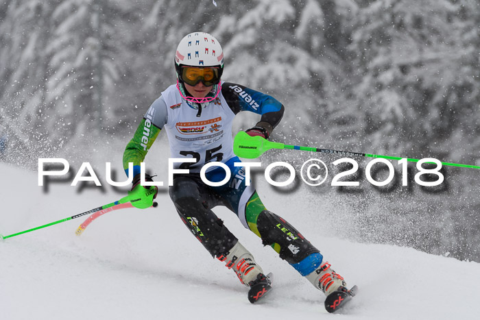 DSV Dt. Schülercup U14 SL 20.01.2018