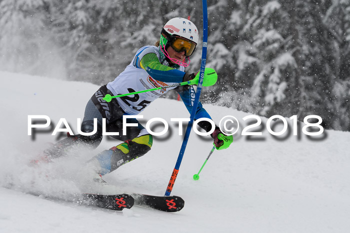 DSV Dt. Schülercup U14 SL 20.01.2018