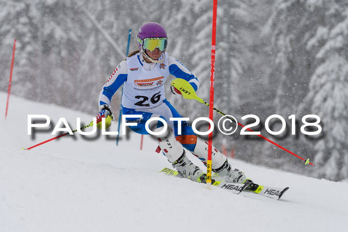 DSV Dt. Schülercup U14 SL 20.01.2018