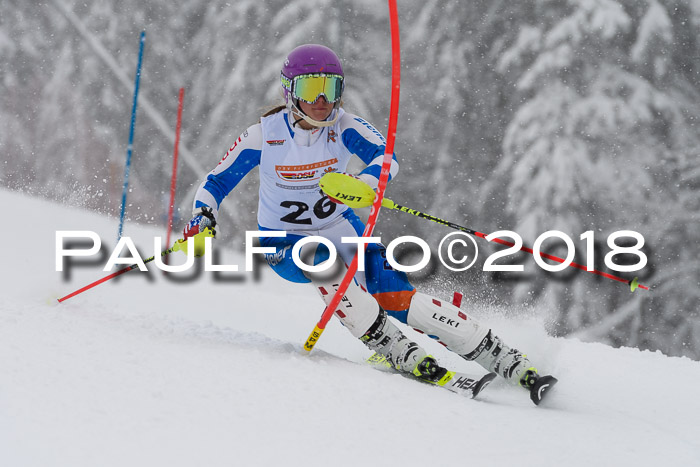 DSV Dt. Schülercup U14 SL 20.01.2018