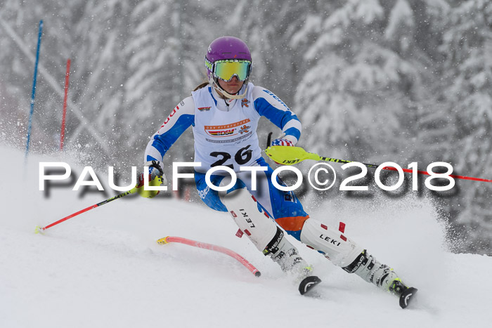DSV Dt. Schülercup U14 SL 20.01.2018