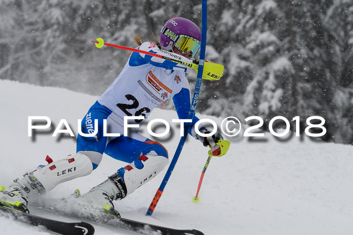 DSV Dt. Schülercup U14 SL 20.01.2018