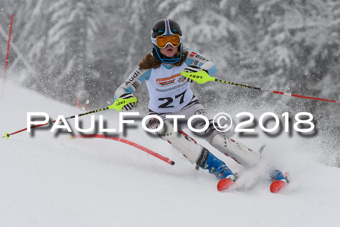 DSV Dt. Schülercup U14 SL 20.01.2018