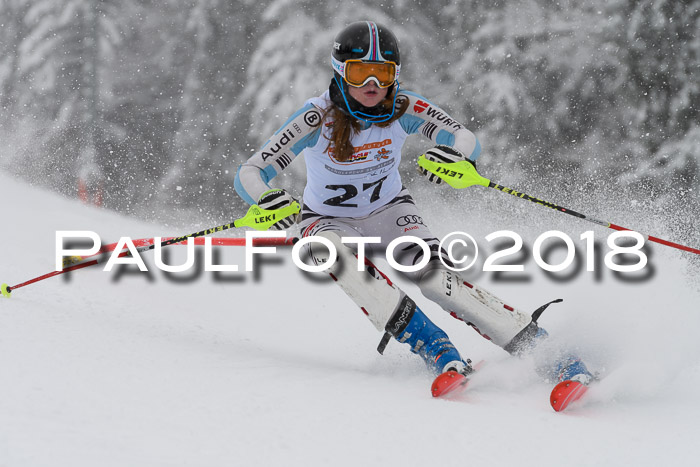 DSV Dt. Schülercup U14 SL 20.01.2018