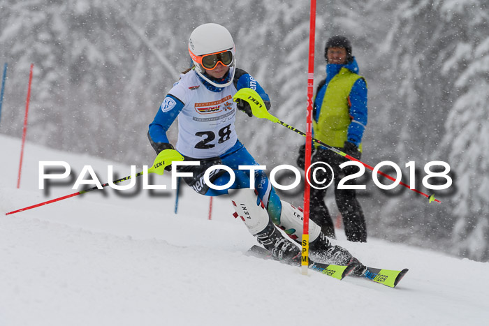 DSV Dt. Schülercup U14 SL 20.01.2018