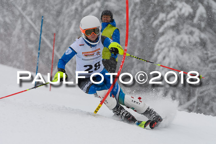 DSV Dt. Schülercup U14 SL 20.01.2018