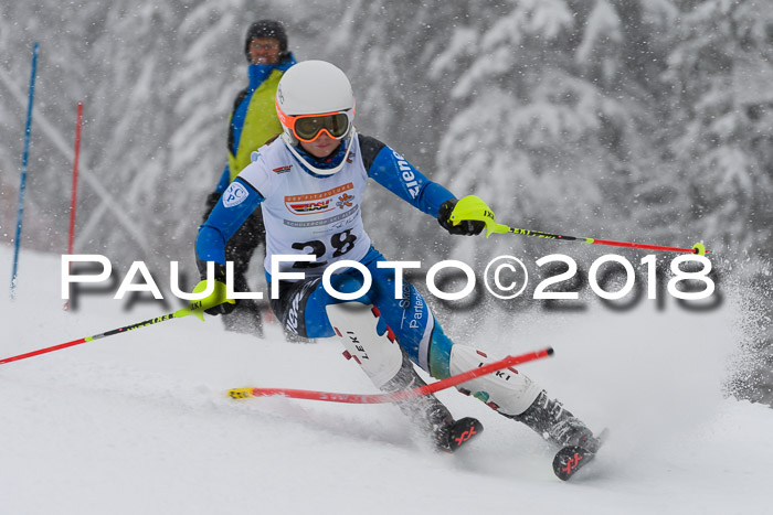 DSV Dt. Schülercup U14 SL 20.01.2018