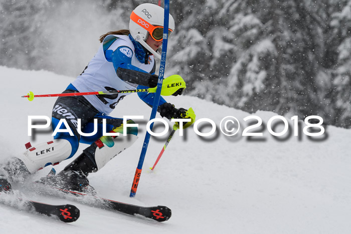DSV Dt. Schülercup U14 SL 20.01.2018