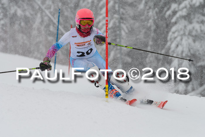 DSV Dt. Schülercup U14 SL 20.01.2018