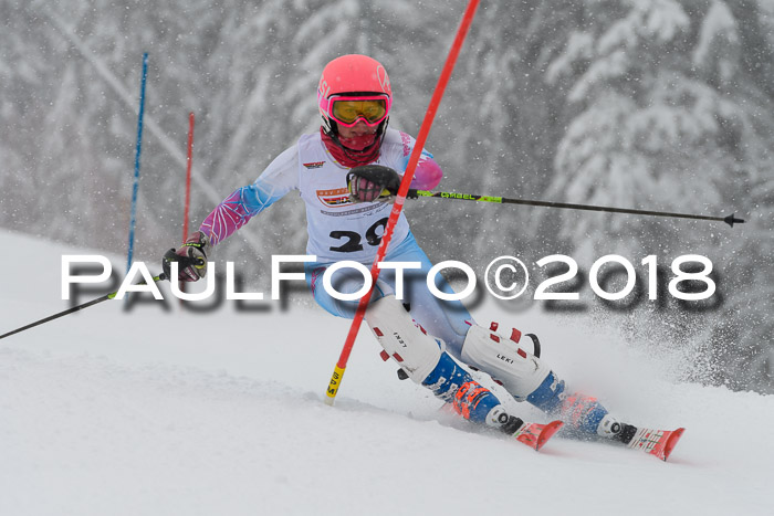 DSV Dt. Schülercup U14 SL 20.01.2018