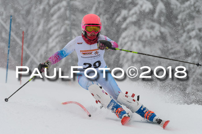 DSV Dt. Schülercup U14 SL 20.01.2018