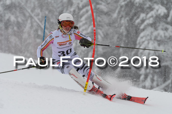 DSV Dt. Schülercup U14 SL 20.01.2018