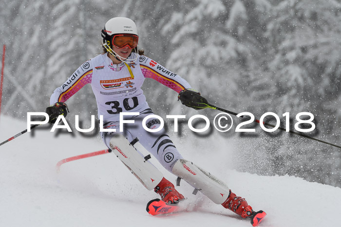 DSV Dt. Schülercup U14 SL 20.01.2018