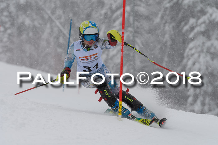 DSV Dt. Schülercup U14 SL 20.01.2018
