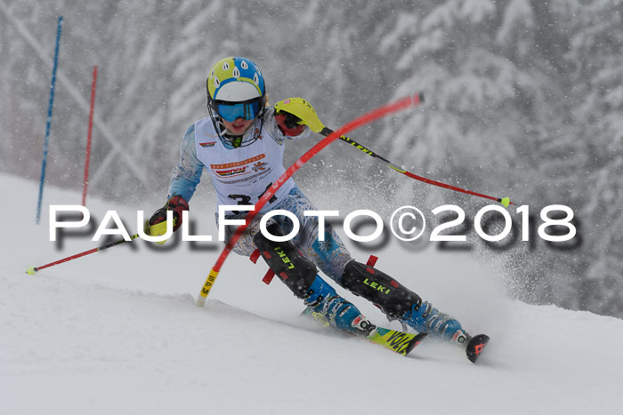 DSV Dt. Schülercup U14 SL 20.01.2018