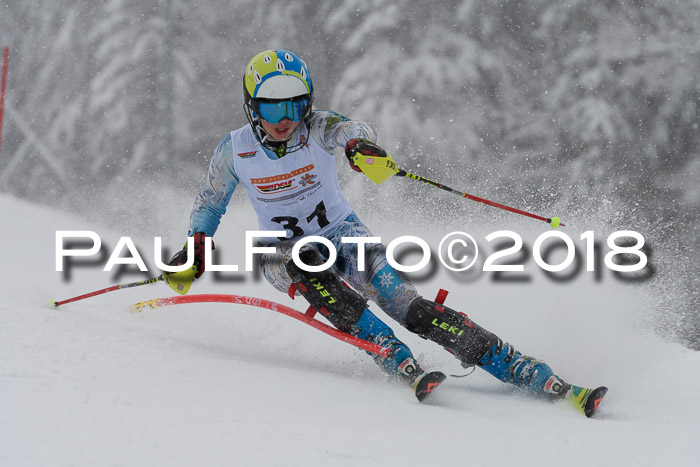 DSV Dt. Schülercup U14 SL 20.01.2018