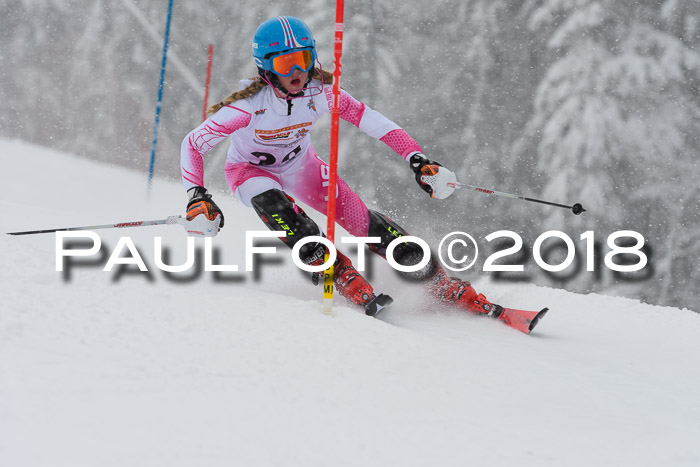 DSV Dt. Schülercup U14 SL 20.01.2018