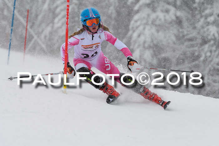 DSV Dt. Schülercup U14 SL 20.01.2018