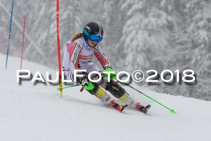 DSV Dt. Schülercup U14 SL 20.01.2018