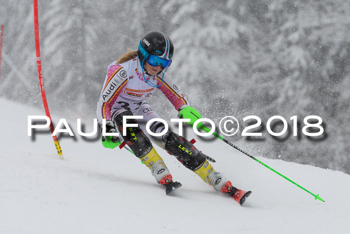 DSV Dt. Schülercup U14 SL 20.01.2018