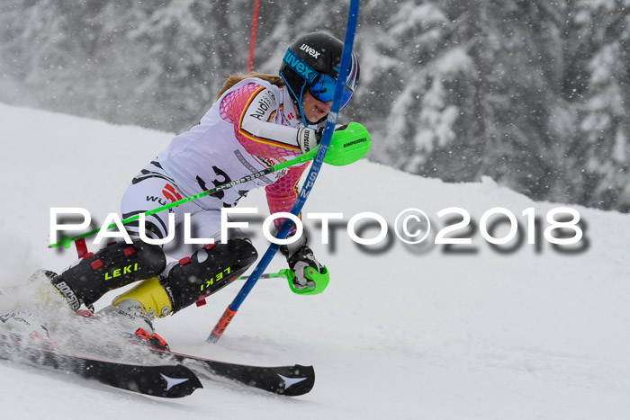 DSV Dt. Schülercup U14 SL 20.01.2018