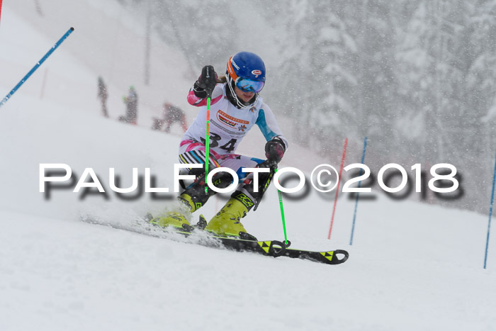 DSV Dt. Schülercup U14 SL 20.01.2018