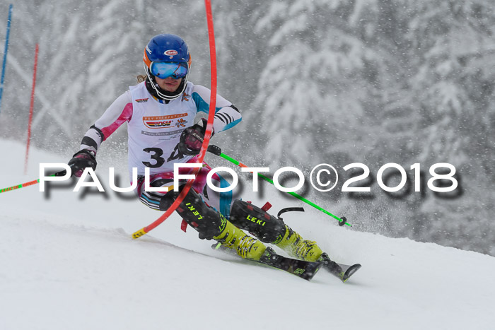 DSV Dt. Schülercup U14 SL 20.01.2018