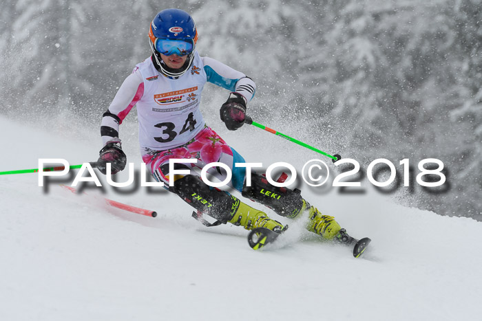 DSV Dt. Schülercup U14 SL 20.01.2018
