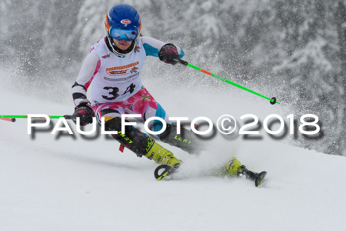 DSV Dt. Schülercup U14 SL 20.01.2018