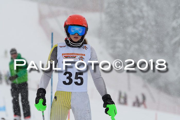 DSV Dt. Schülercup U14 SL 20.01.2018