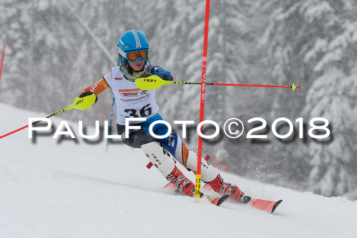 DSV Dt. Schülercup U14 SL 20.01.2018