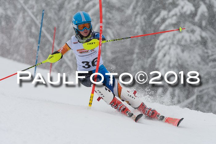 DSV Dt. Schülercup U14 SL 20.01.2018