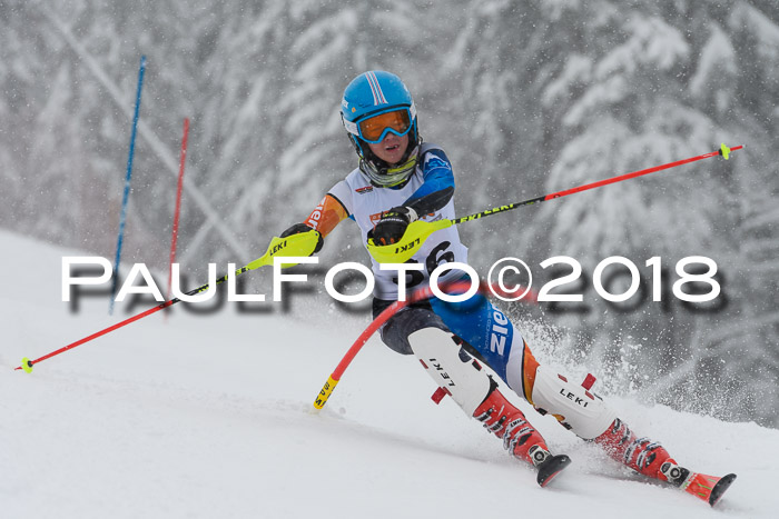 DSV Dt. Schülercup U14 SL 20.01.2018