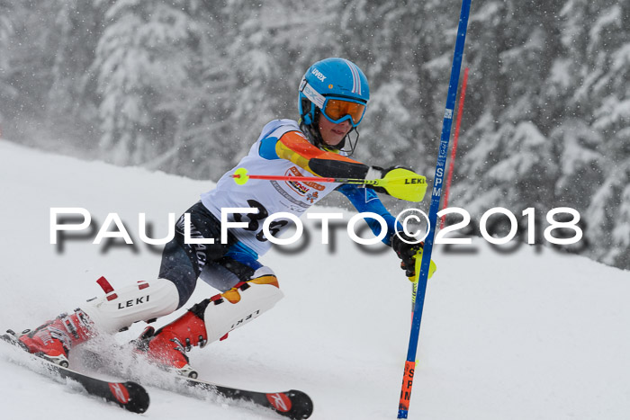 DSV Dt. Schülercup U14 SL 20.01.2018