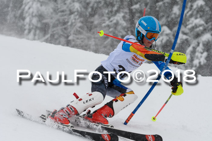 DSV Dt. Schülercup U14 SL 20.01.2018