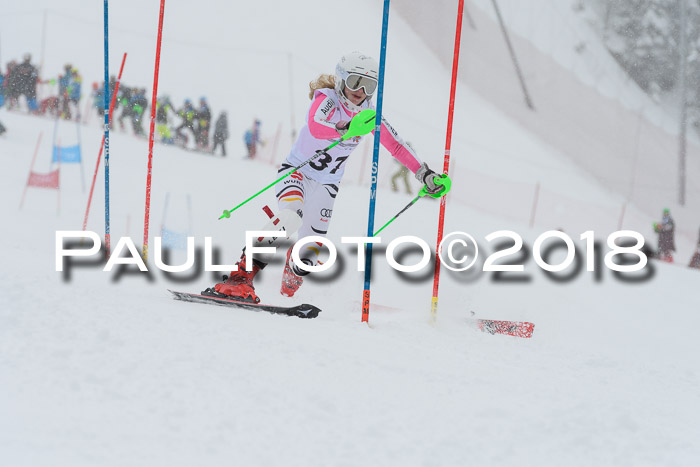 DSV Dt. Schülercup U14 SL 20.01.2018