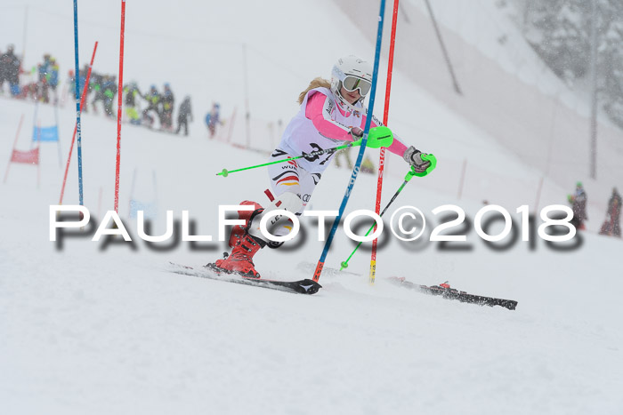 DSV Dt. Schülercup U14 SL 20.01.2018