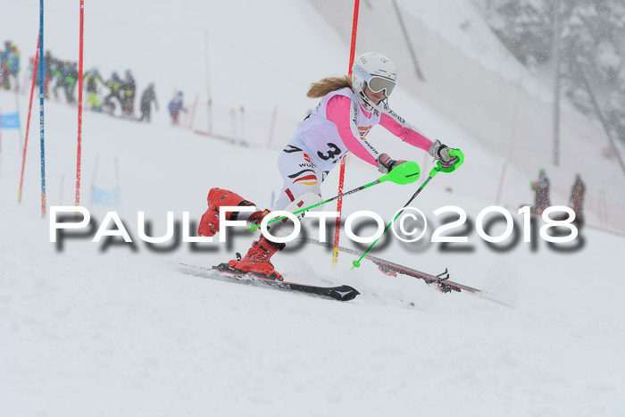 DSV Dt. Schülercup U14 SL 20.01.2018
