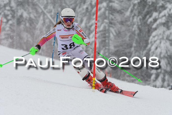 DSV Dt. Schülercup U14 SL 20.01.2018