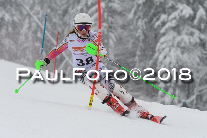 DSV Dt. Schülercup U14 SL 20.01.2018