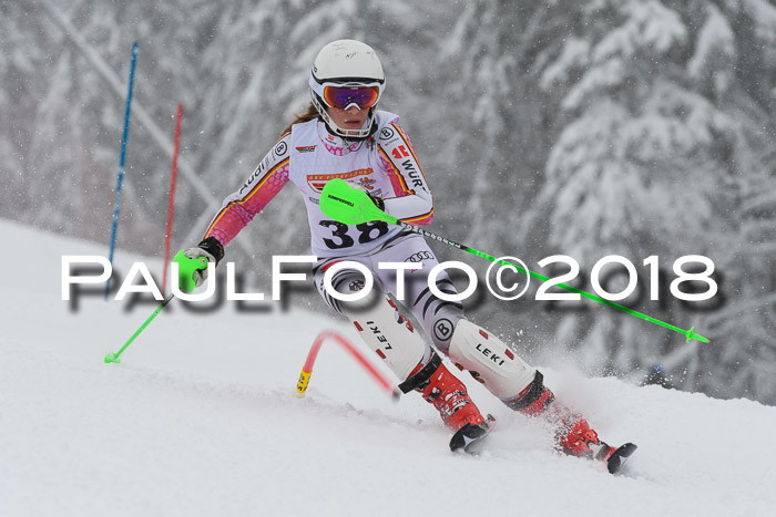 DSV Dt. Schülercup U14 SL 20.01.2018