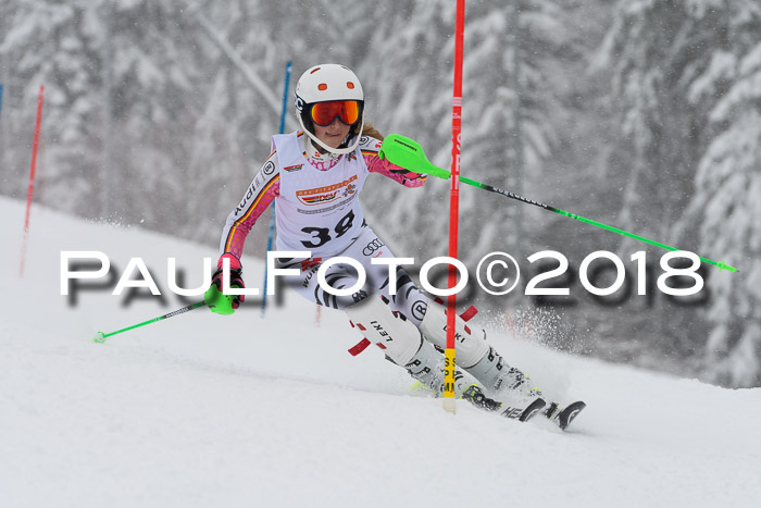 DSV Dt. Schülercup U14 SL 20.01.2018
