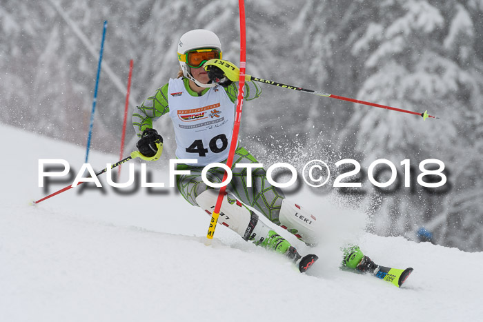 DSV Dt. Schülercup U14 SL 20.01.2018