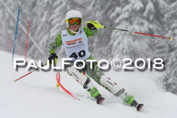 DSV Dt. Schülercup U14 SL 20.01.2018