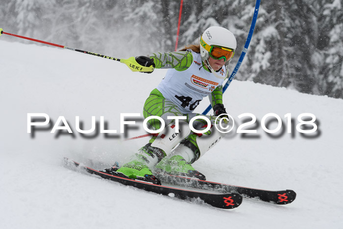 DSV Dt. Schülercup U14 SL 20.01.2018